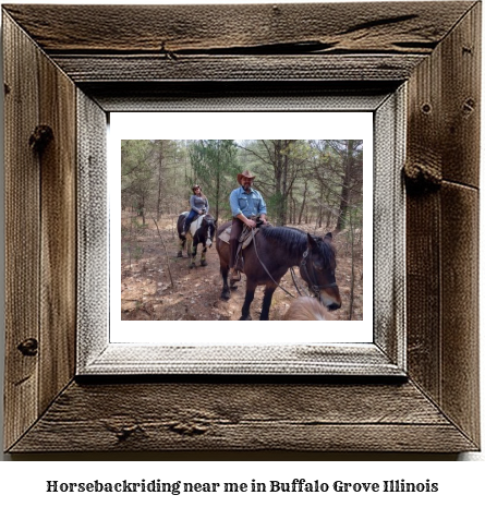 horseback riding near me in Buffalo Grove, Illinois